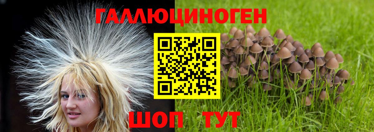 Псилоцибиновые грибы мухоморы Знаменск